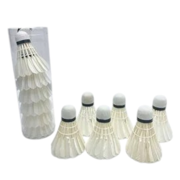 6入羽毛球H015