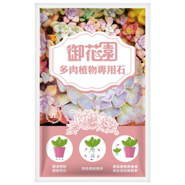 御花園多肉植物專用石